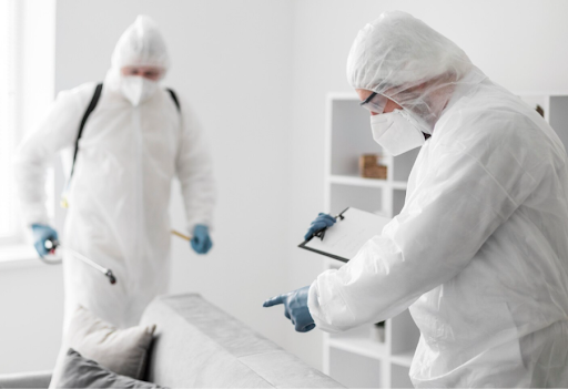 Why Tampa Bay Pest Control Is Better Than DIY Pest Solutions