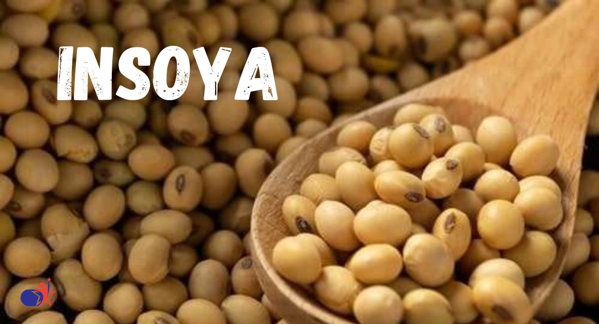 Insoy Inal What Is Insoya? A Healthy Protein-Rich Bean Explained - Insidefame