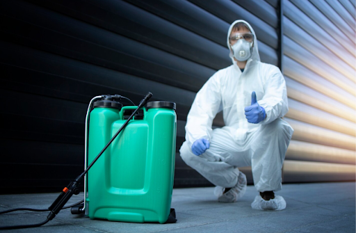 Why Tampa Bay Pest Control Is Better Than DIY Pest Solutions