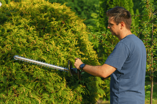 How to Create a Pristine Garden Without the Hassle
